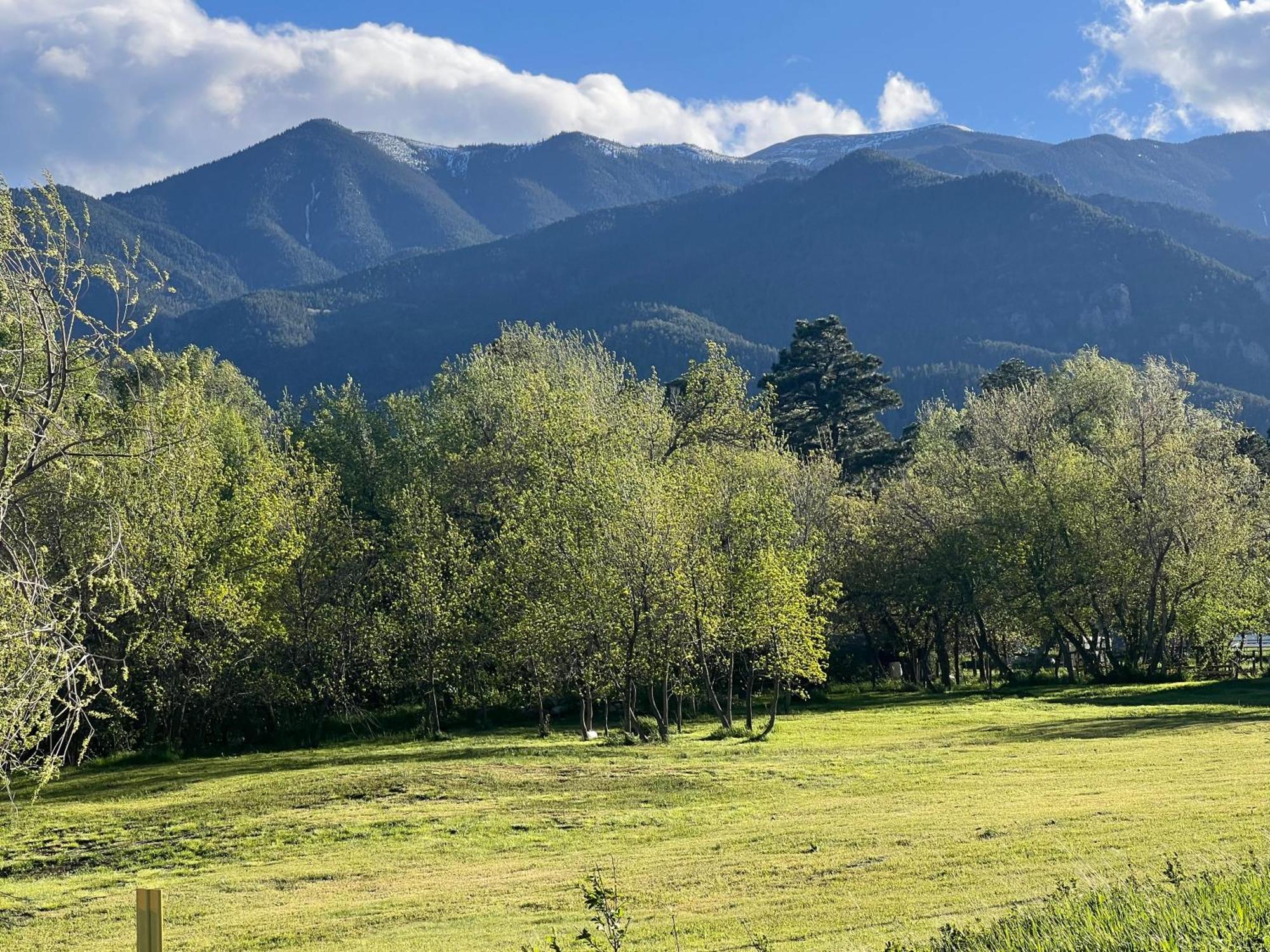 Cozy Cabin On The Creek Colorado City ภายนอก รูปภาพ